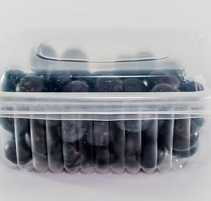 Bandejas bisagra PET Food Solution